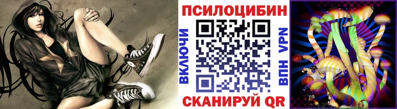 Галлюциногенные грибы Cubensis  Болотное 