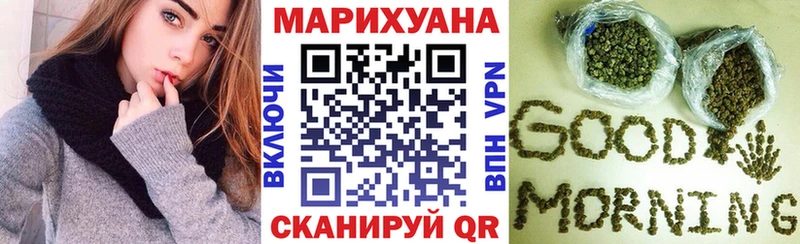 продажа наркотиков  Болотное  Канабис конопля 